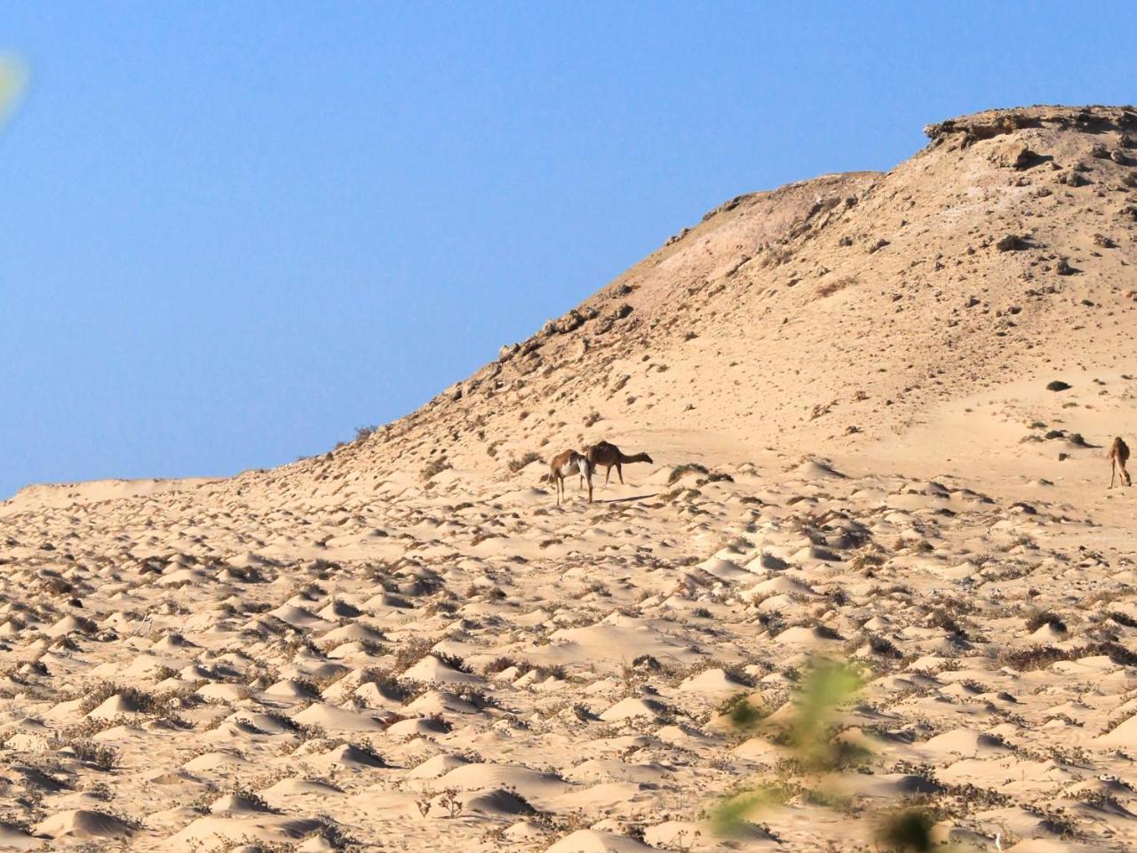 Dakhla Kitesurf World Hotel Exterior foto
